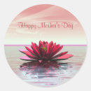 Pesquisar por water lily adesivos Flor