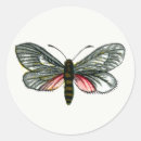 Pesquisar por traças adesivos Borboletas