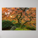 Pesquisar por árvores japonesas pôsteres Outono