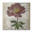 Pesquisar por francês azulejos Botânico