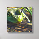Pesquisar por touro impressão de canvas Animal