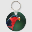 Pesquisar por ave chaveiros Colorido