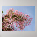 Pesquisar por blue sky pôsteres Tree