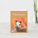 Pesquisar por cartões da alpaca cartoes Qualquer pessoa