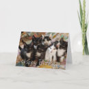Pesquisar por tuxedo kitten cartoes Cat