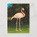 Pesquisar por vintage florida cartoes postais Saudações de