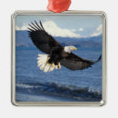Pesquisar por homer ornamentos Predador