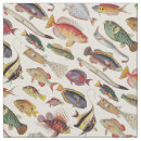 Pesquisar por biologia artesanato material Peixe