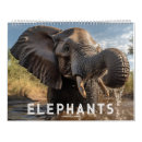 Pesquisar por elefante calendarios Africano