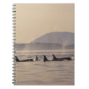 Pesquisar por natação cadernos de notas Animal