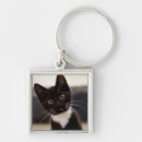 Pesquisar por smoking chaveiros Gatinho