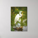 Pesquisar por real impressão de canvas Branco