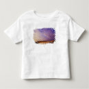 Pesquisar por vasto camisetas Pôr do sol