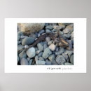 Pesquisar por dentes pôsteres Mar