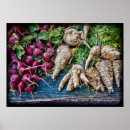 Pesquisar por rabanete pôsteres Vegetais