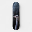 Pesquisar por retratos skates Fofofo