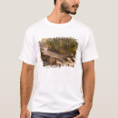 Pesquisar por córregos camisetas Verde