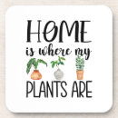 Pesquisar por plants porta copos Qualquer pessoa