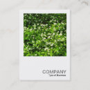 Pesquisar por wild cartao de visita Moderno