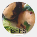 Pesquisar por bffs adesivos Qualquer pessoa