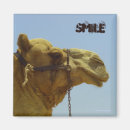 Pesquisar por camel imas Animal