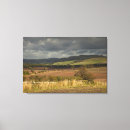 Pesquisar por céu nublado impressão de canvas Árvore