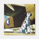 Pesquisar por dalmatian imas Animais