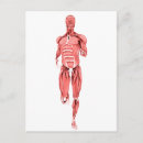 Pesquisar por bíceps cartoes postais Fundo branco