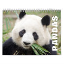 Pesquisar por urso de panda calendarios Animal