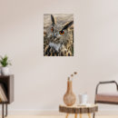 Pesquisar por eagle pôsteres Bird of prey