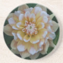 Pesquisar por flor amarela da dália Floral