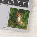 Pesquisar por para a pele do pc do mac Floresta