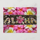 Pesquisar por tropical flowers cartoes postais Hawaii