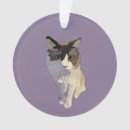 Pesquisar por dona de casa ornamentos Gato