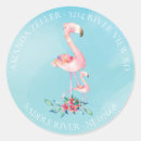 Pesquisar por flamingo bonito adesivos Aguarela