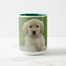 Pesquisar por lavagem canecas Cão