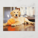 Pesquisar por basquete cartoes postais Cão
