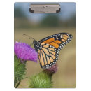 Pesquisar por habitat da borboleta Danaus