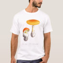 Pesquisar por amanita roupas L f j