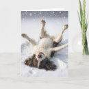 Pesquisar por anjo natal cartoes Anjo de neve