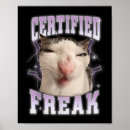 Pesquisar por certificado de pôsteres Gato