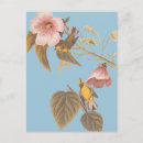 Pesquisar por pássaros amarelos cartoes postais Passarinho