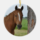 Pesquisar por cavalo marrom ornamentos Castanho