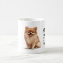 Pesquisar por pomerania canecas Cãozinho