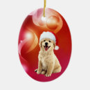 Pesquisar por sorriso feliz ornamentos Feriado