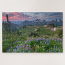 Pesquisar por nacional do monte rainier Flores silvestres
