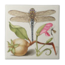 Pesquisar por cravo azulejos Natureza