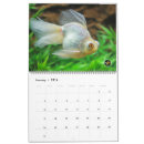 Pesquisar por telescópio calendarios Calendário