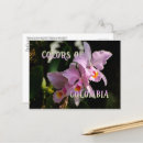 Pesquisar por orquídea cattleya cartoes postais Floral