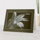 Pesquisar por símbolo cartoes Floral